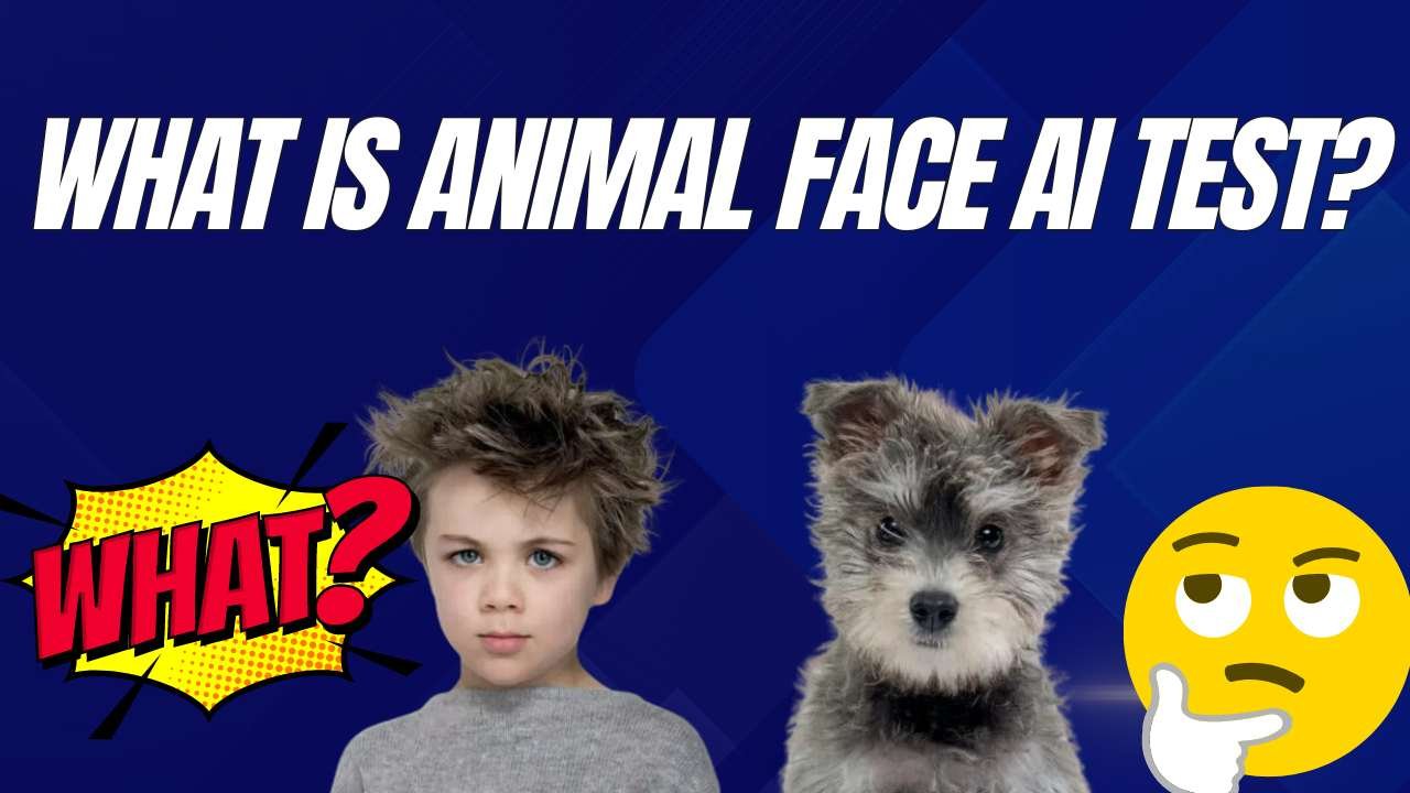 What is Animal Face AI Test?